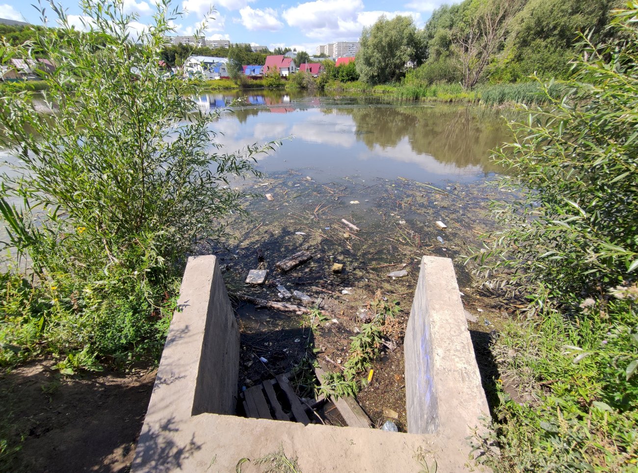 Озеро на ул. Гущина (со стороны ул. Попова)/ Екатерина Смолихина