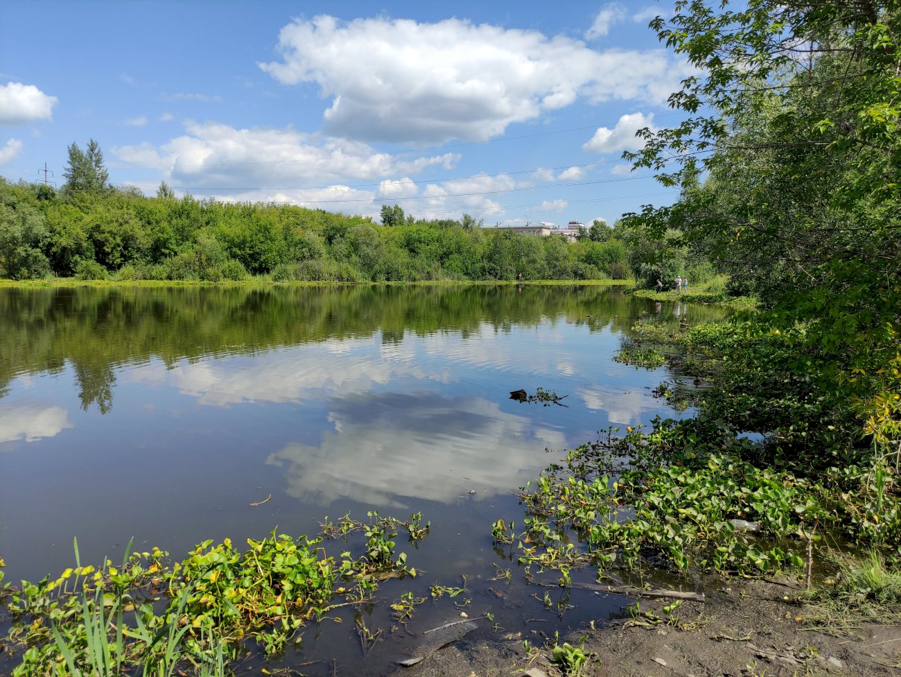 Озеро на ул. Гущина (со стороны ул. Малахова)/ Екатерина Смолихина