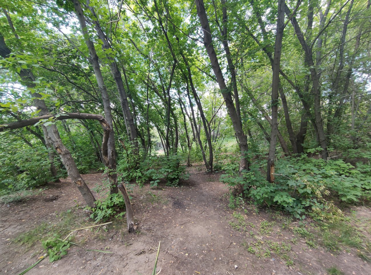 Озеро на ул. Гущина (со стороны ул. Малахова)/ Екатерина Смолихина