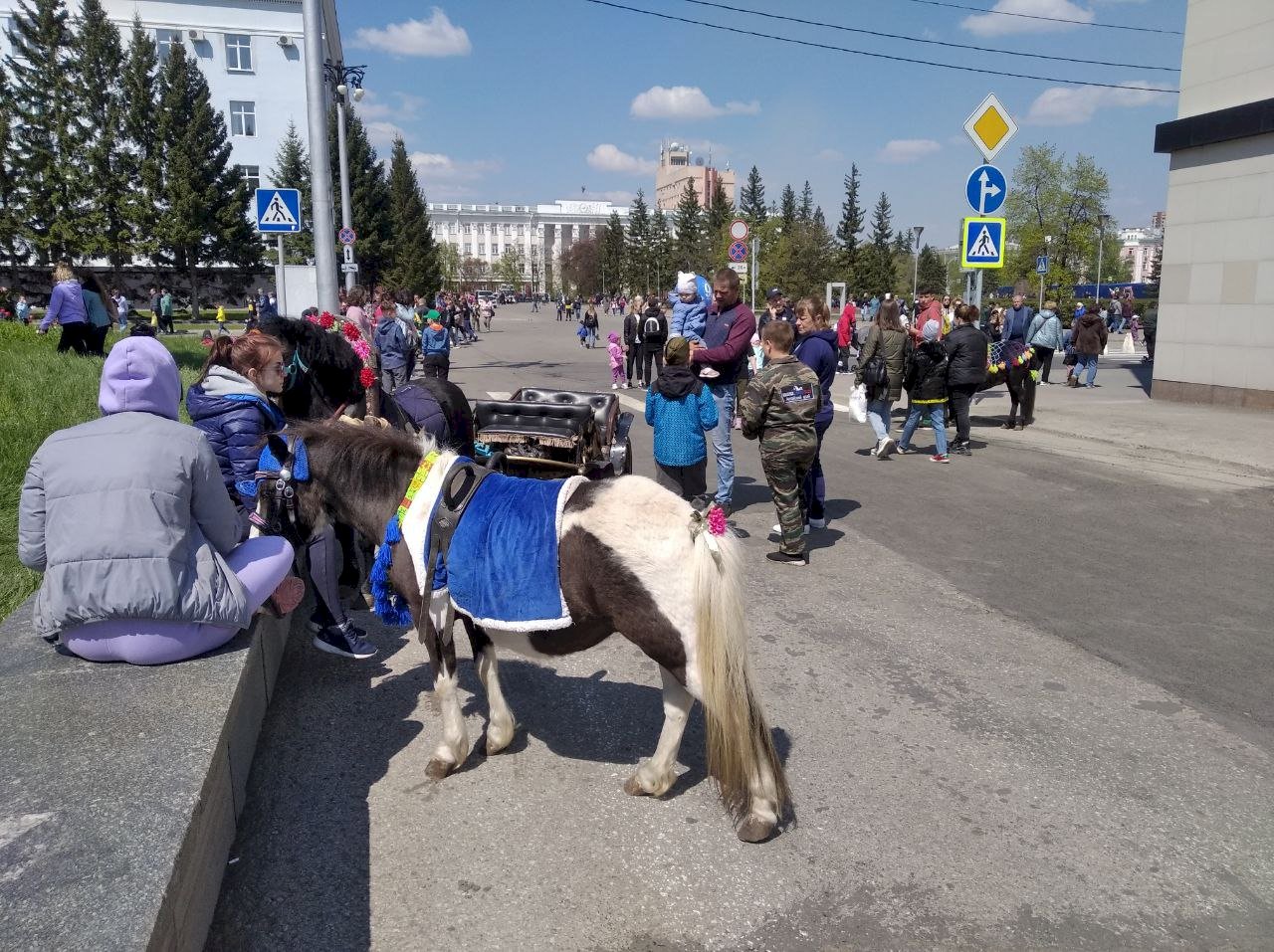 Фото корреспондента amic.ru