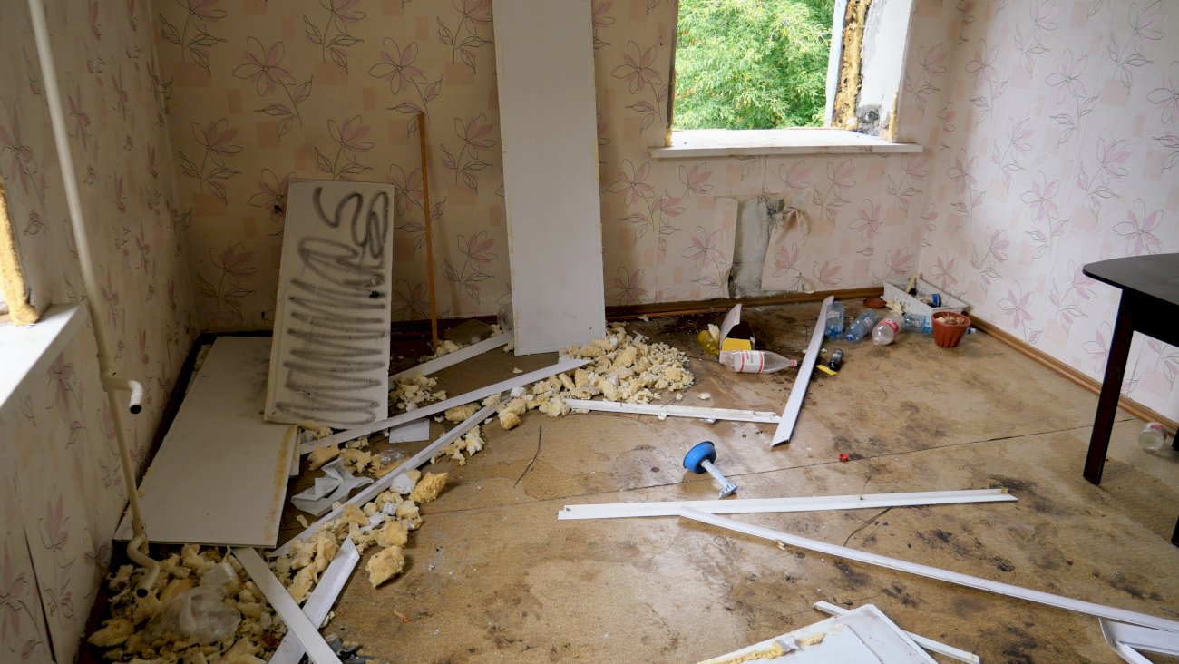 Квартира на улице Эмилии Алексеевой, 11/ Екатерина Смолихина