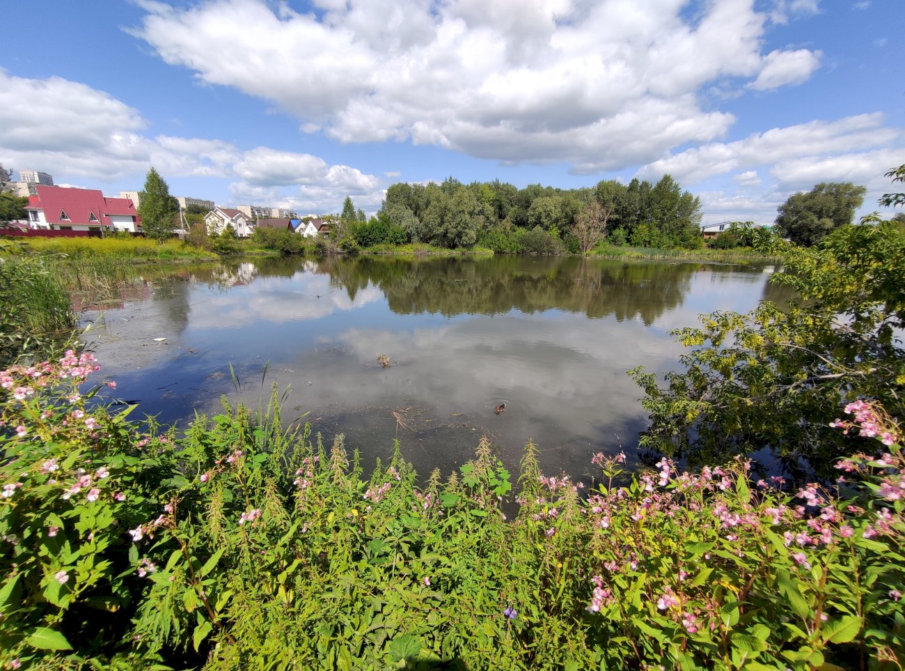 Озеро на ул. Гущина (со стороны ул. Попова)/ Екатерина Смолихина