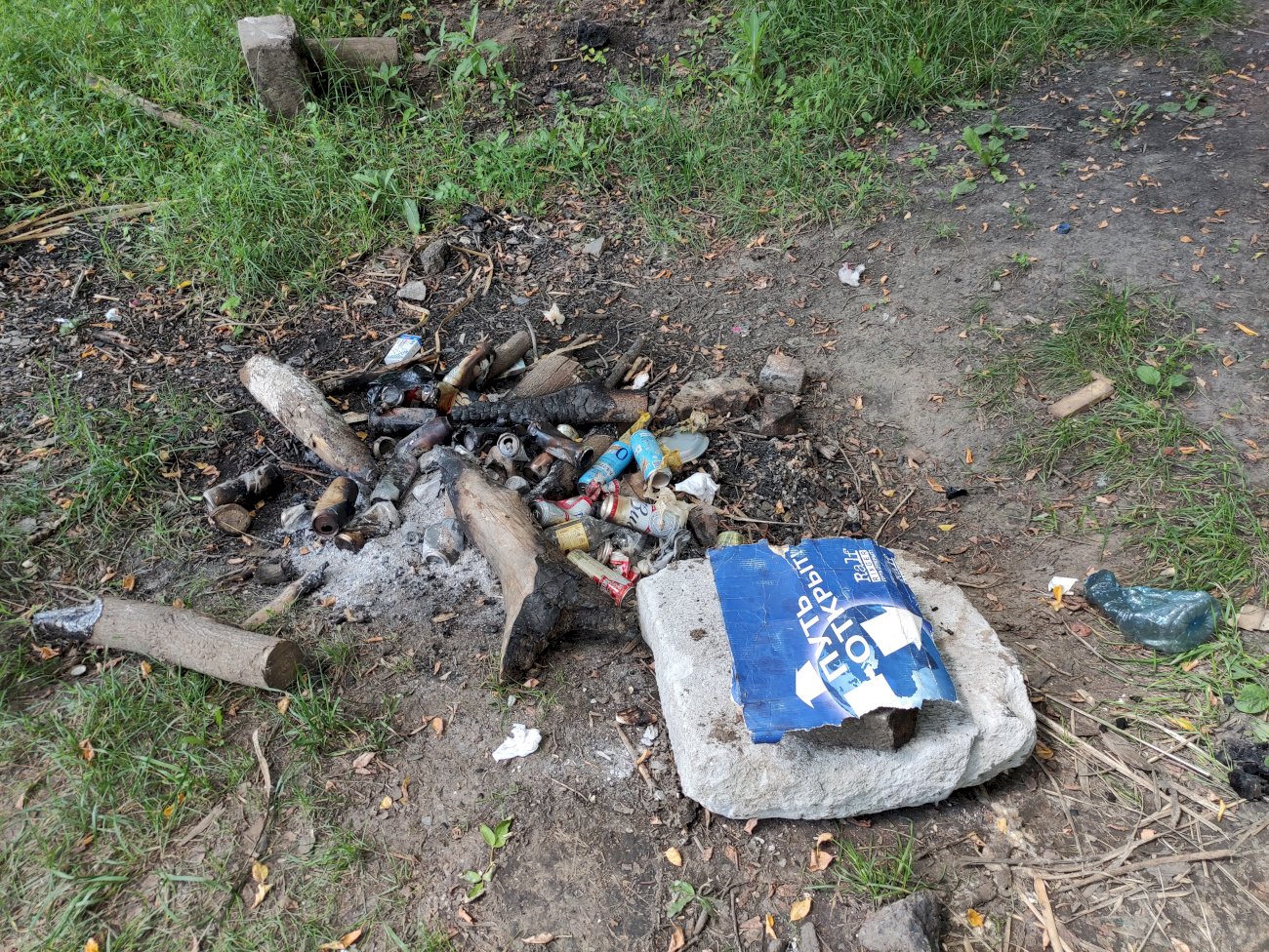 Озеро на ул. Гущина (со стороны ул. Малахова)/ Екатерина Смолихина