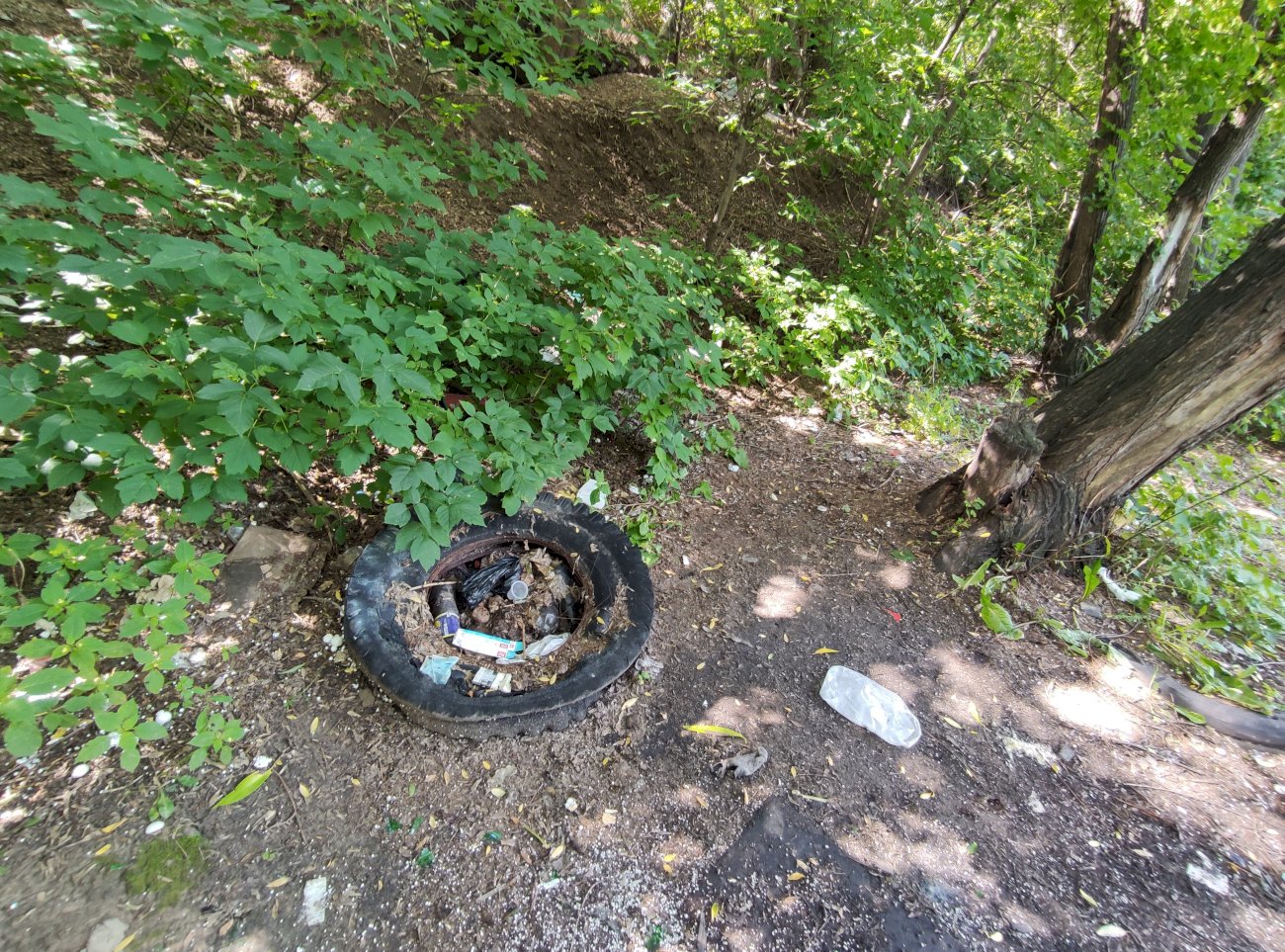 Высохшее озеро в садоводстве трансмаш/ Екатерина Смолихина