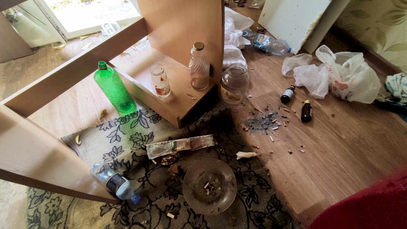 Квартира на улице Эмилии Алексеевой, 11/ Екатерина Смолихина