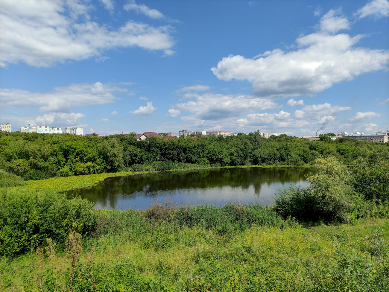 Озеро на ул. Гущина (со стороны ул. Малахова)/ Екатерина Смолихина
