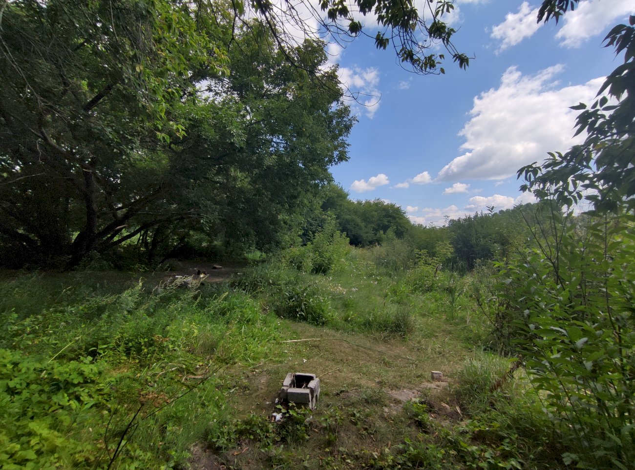 Озеро на ул. Гущина (со стороны ул. Малахова)/ Екатерина Смолихина