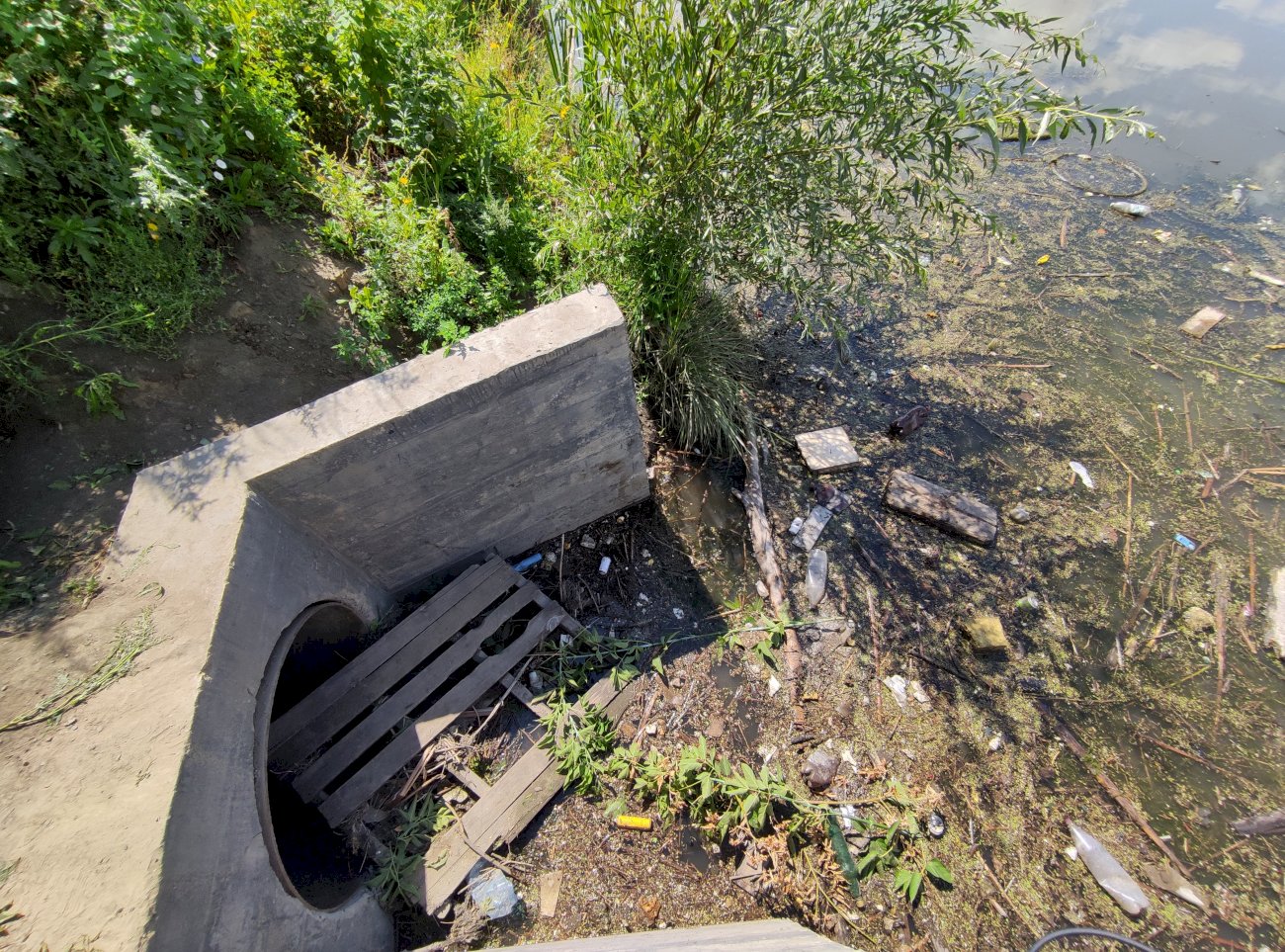 Озеро на ул. Гущина (со стороны ул. Попова)/ Екатерина Смолихина