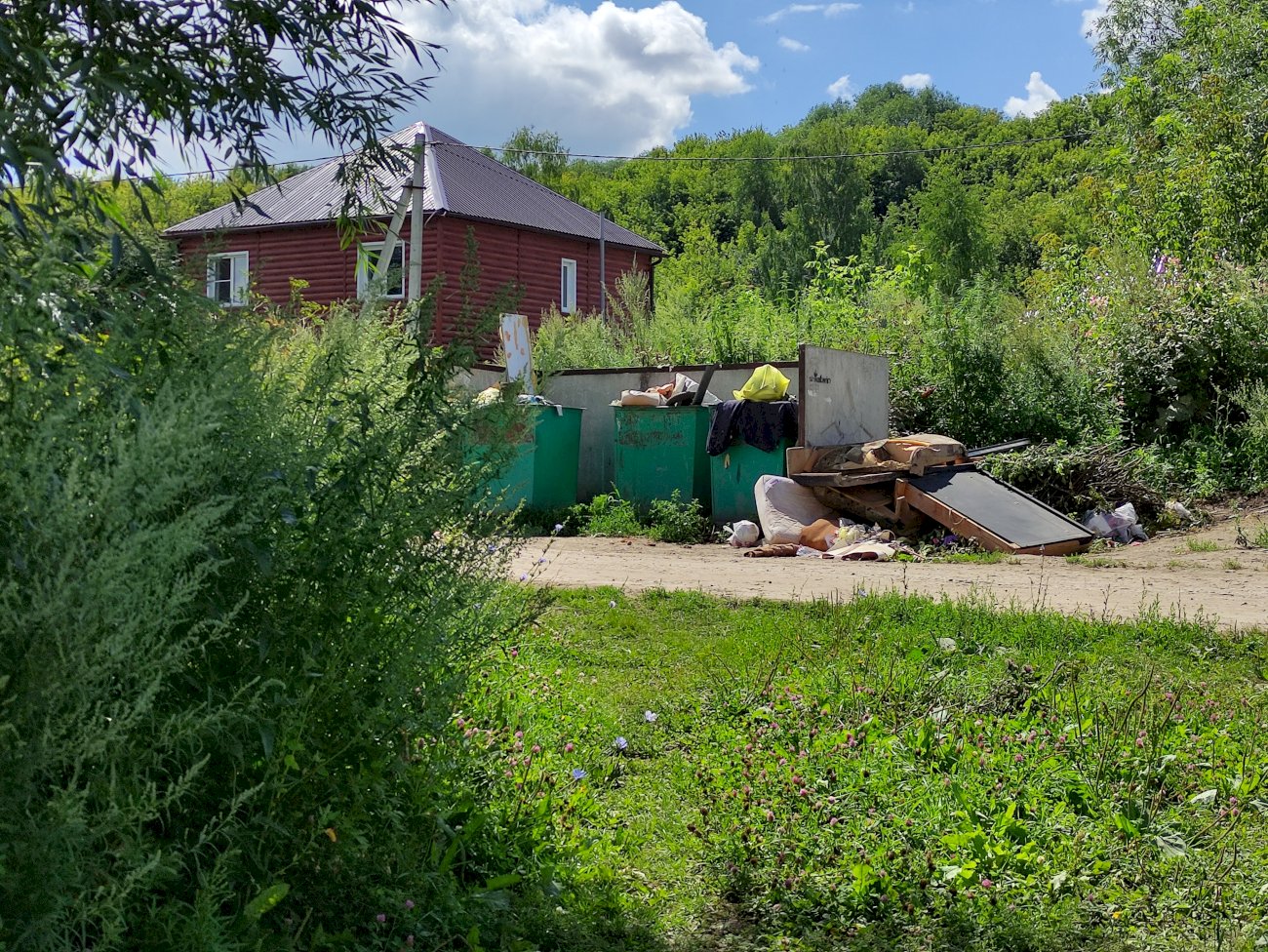 Озеро на ул. Гущина (со стороны ул. Попова)/ Екатерина Смолихина