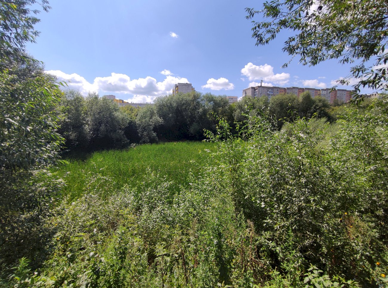 Высохшее озеро в садоводстве трансмаш/ Екатерина Смолихина