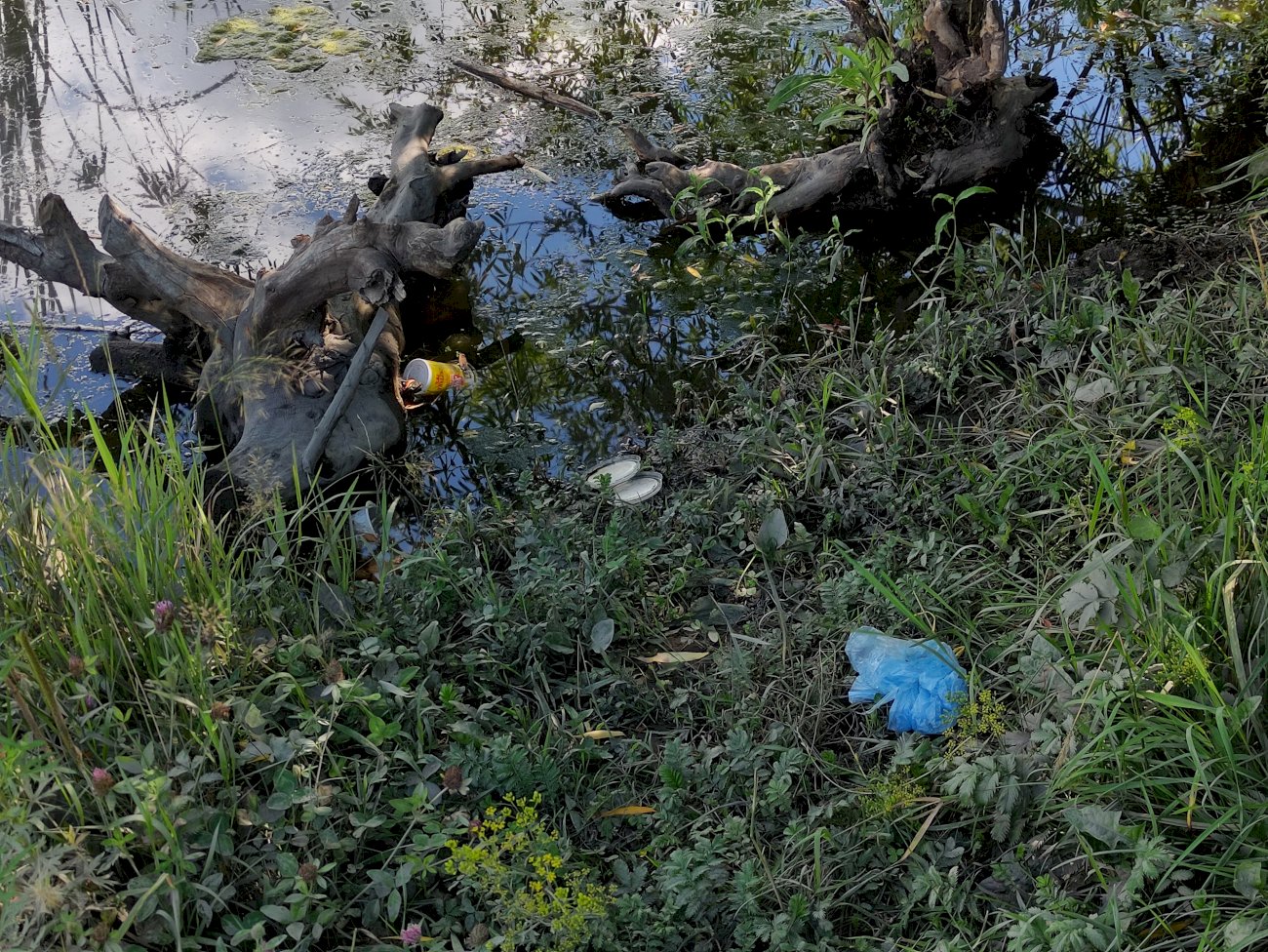 Озеро на ул. Гущина (со стороны ул. Попова)/ Екатерина Смолихина