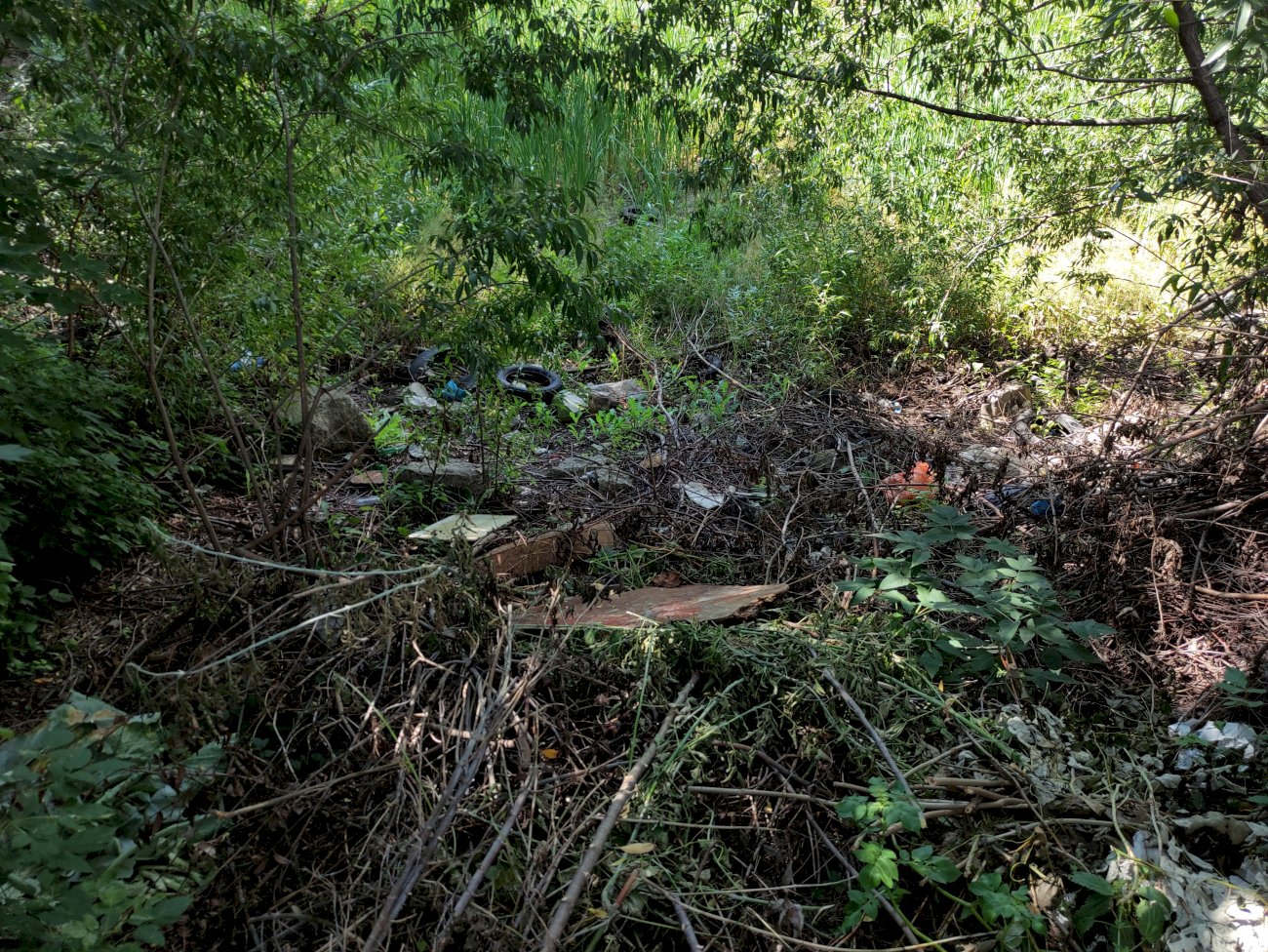 Высохшее озеро в садоводстве трансмаш/ Екатерина Смолихина