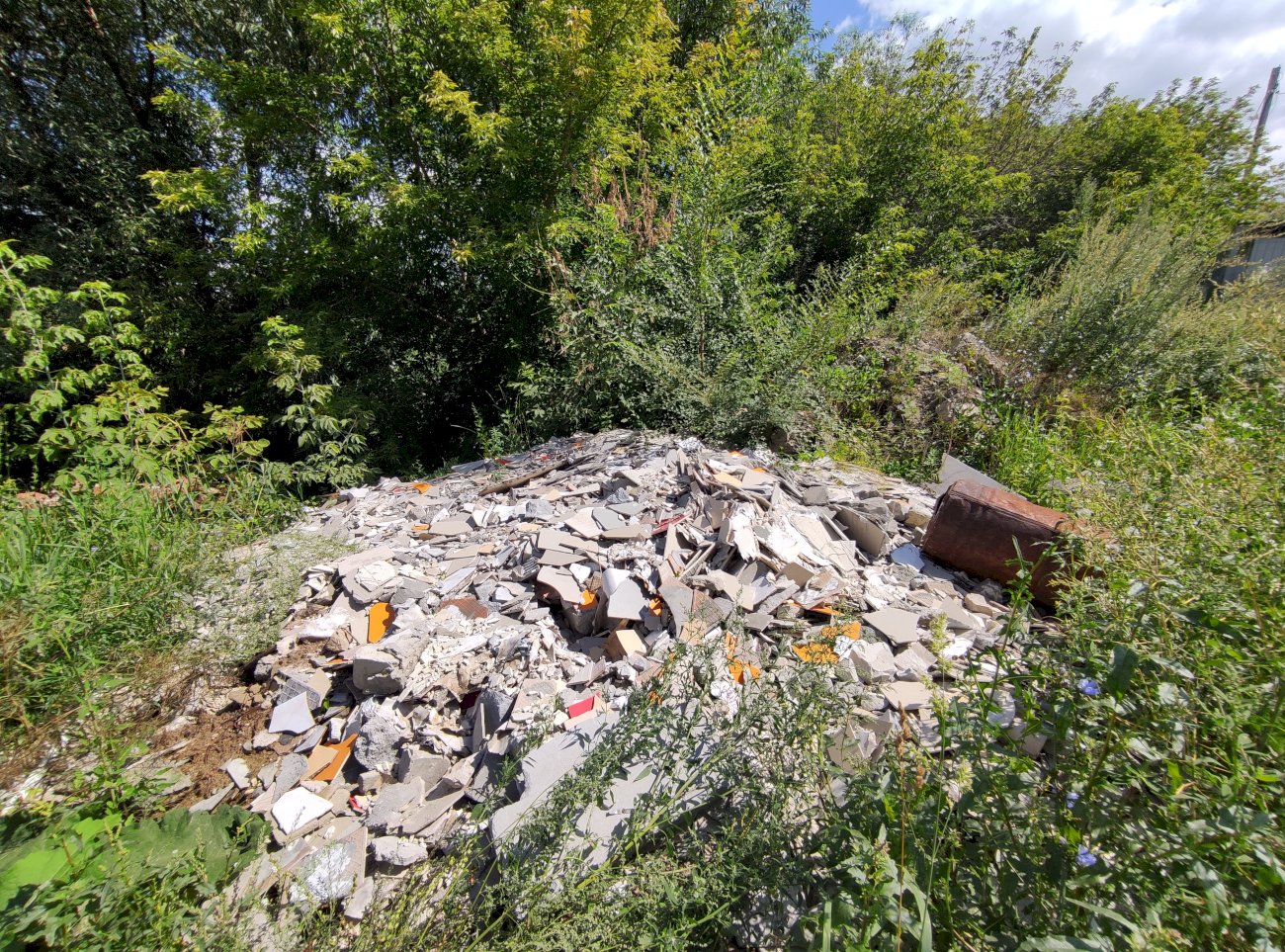 Высохшее озеро в садоводстве трансмаш/ Екатерина Смолихина