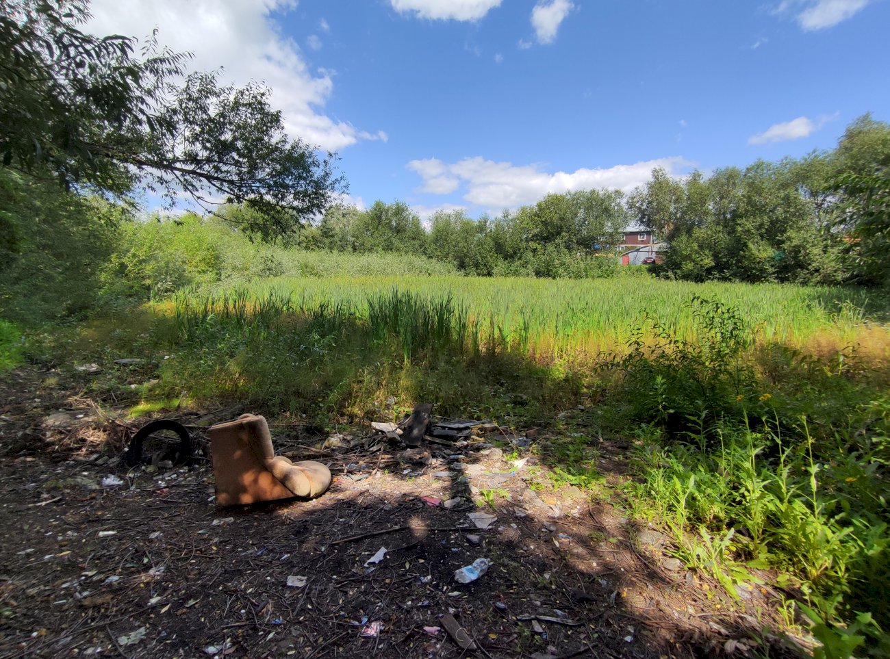 Высохшее озеро в садоводстве трансмаш/ Екатерина Смолихина