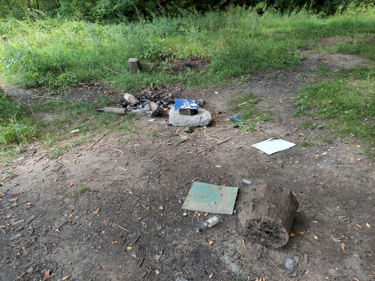 Озеро на ул. Гущина (со стороны ул. Малахова)/ Екатерина Смолихина